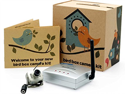 Wireless Bird Nest Box Wildlife Camera with Night Vision and Audio- Perfect for your Garden