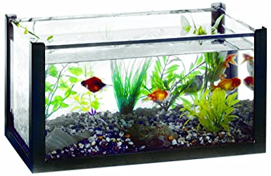 American Educational Aquarium with Acrylic Cover, 6 Gallon Capacity, Glass