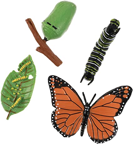 DOITOOL 4Pcs Insect Figurines Life Cycle of a Butterfly Caterpillars to Butterflies Safariology Bug Figures Educational Toy for Kids Toddlers