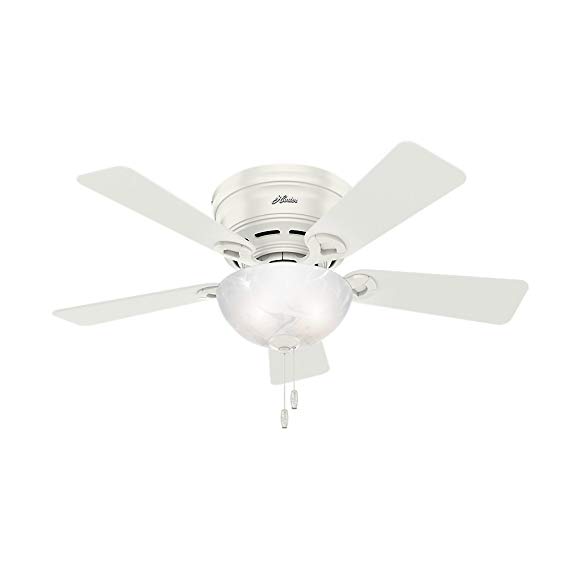 Hunter 52138 Hunter Haskell Ceiling Fan with Light, 42", Fresh White