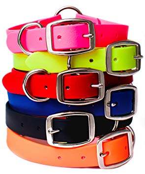 Waterproof Dog Collar with Heavy Duty D-Ring | For Small, Medium, or Large Dogs
