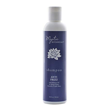 Mystic Botanicals Anti Frizz Shampoo- A Deep Moisturizing Treatment for Hair | Infused with Mango Butter & Babassu Oil | Paraben Free, Cruelty Free (8 Fluid Ounce)