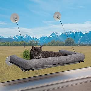 K&H Pet Products EZ Mount Cat Window Perch Deluxe Bolstered Kitty Sill with Cat Grass Grow Station - Hammock Window Bed for Indoor Pets, Home Grown Grass Cat Toys for Bored Indoor Adult Cats