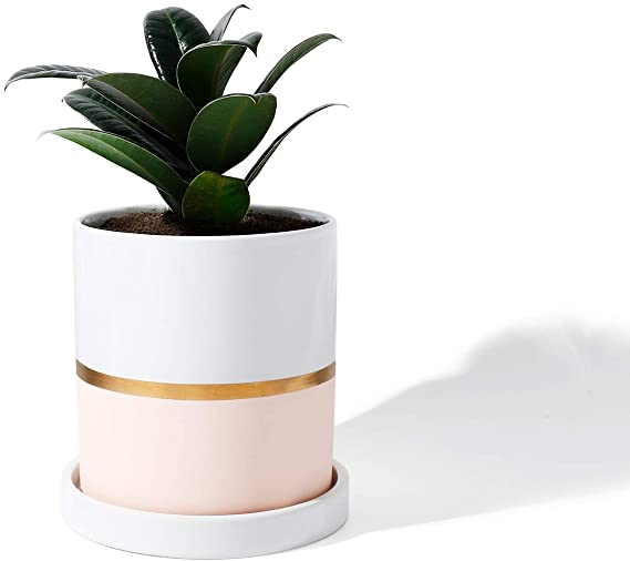 POTEY 052203 Planter Pots Indoor - 3.9 Inch Cylinder Ceramic Flowerpot with Drainage Hole & Saucer for Indoor Plants Flower Succulent Modern Home Decor(Plant NOT Included)