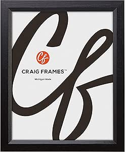 Craig Frames Economy, 13x18 Picture Frame, Ebony Black