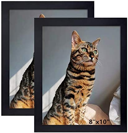 Picture Frame 8x10 Inch Set of 2 ,Made of Wood, Wall Mount Vertically or Horizontally-Photo Frame Poster Frames, Wall Mount or Tabletop Use, Black