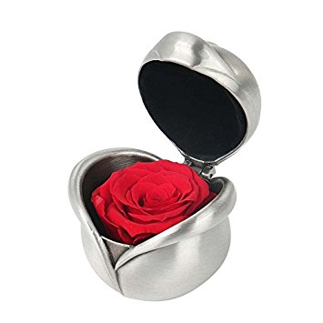 Flower Gifts For Women - Preserved Fresh Flower Eternity Rose, Unwithered Real Rose, Gift for Valentine's Day, Mother's Day, Thanksgiving Day, Christmas, Birthday, Anniversary (Silver & Red)