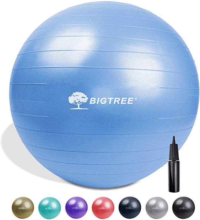 Bigtree Exercise Ball Extra Thick Yoga Ball Chair, Anti-Burst Heavy Duty Stability Ball, Birthing Ball with Quick Pump (Blue, 65CM)