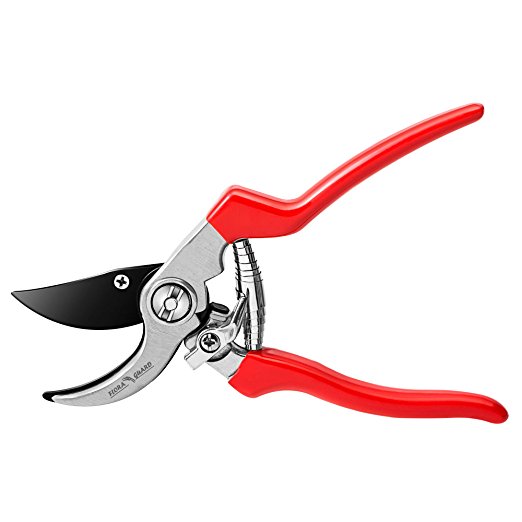 Flora Guard Professional Hand Pruner-Bypass Pruning Shears with Safety Lock, Tree Trimmers Secateurs, Garden Shears, Clippers for the Garden