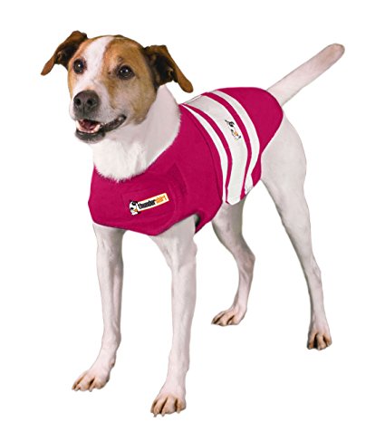 Thundershirt Dog Anxiety Wrap, Rugby Jacket
