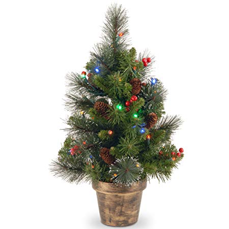 National Tree 2 Foot Crestwood Spruce Tree with Silver Bristle, Cones, Red Berries and 35 Battery Operated Multicolor LED Lights in Bronze Pot (CW7-334M-20)