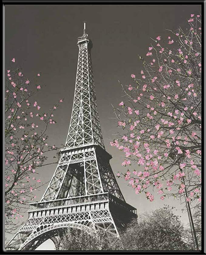 Culturenik Paris Eiffel Tower Blossoms Decorative Photography Travel City Poster Print (8 x 10 Mylar Framed Desktop Print)