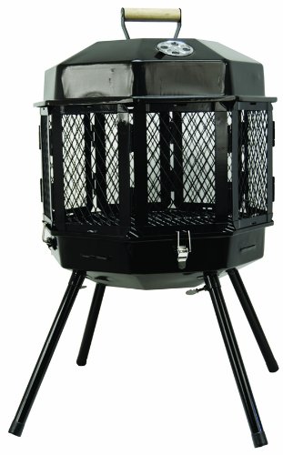 Masterbuilt GMFP20 Grizzly Cub Portable Fireplace and Grill