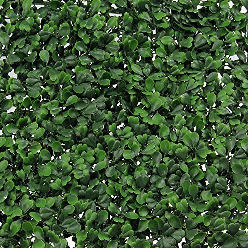 Synturfmats Artificial Boxwood Hedge Privacy Fence Screen Greenery Panels - Two Tone Green (20"x20" Pack of 6pcs)