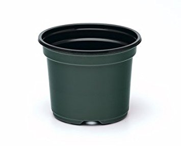 10 Inch Azalea Pot (Qty. 10), Plastic, Green, Includes 10 Flower Pots