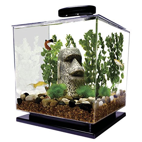 Tetra Cube Aquarium Kit, 3 Gallon