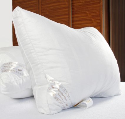 DUCK & GOOSE CO Premium Hotel Quality Microfiber Luxury Bedding Pillow, Hypo-Allergenic, 100% Cotton with Stylish Design White with White Piping Two Pillows King