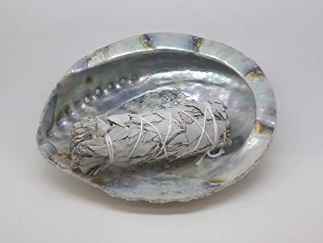 Craftmoor Abalone Shell 6"   White Sage Smudge Stick 4" - Smudging Kit, Crystal Cleaning and House Cleansing