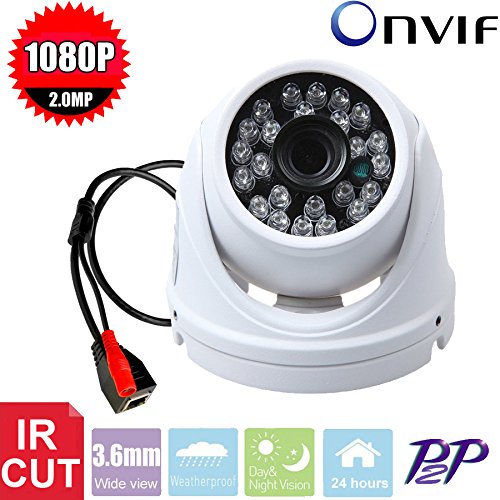 Vanxse® CCTV SONY CMOS 2MP Megapixel HD 1080P Waterproof Network 24IR Leds IR-CUT Indoor/Outdoor Armour Dome Security IP Camera surveillance camera