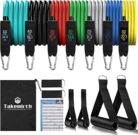 250 LBS Resistance Bands Set Men, Exercise Bands with Door Anchor, Handles, Waterproof Carry Bag, Legs Ankle Straps for Resistance Training, Physical Therapy, Home Workouts