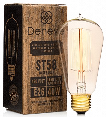 Edison Bulbs by Deneve, 1 Bulb, ST58 Standard Size, Thomas Edison 40W Light Bulb, Squirrel Cage Filament