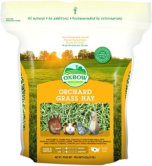 Oxbow Animal Health Orchard Grass Hay for Pets, 15-Ounce