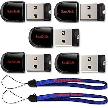 SanDisk Cruzer Fit 32GB (5 pack) USB 2.0 Flash Drive Jump Drive Pen Drive SDCZ33-032G - Five Pack w/ (2) Everything But Stromboli (TM) Lanyards