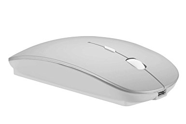 LOVRI 2.4G Rechargeable Slim Wireless Mouse with USB Receiver, 3 Adjustable DPI Levels for Notebook, PC, MAC, Laptop, Computer, Macbook (Silver)
