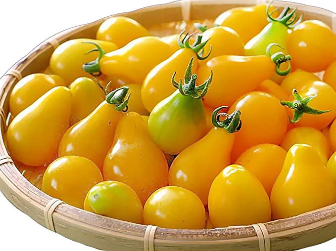 50  Yellow Pear Tomato Seeds, Heirloom Non-GMO, Low Acid, Indeterminate, Open-Pollinated, Sweet, Super Delicious, from USA