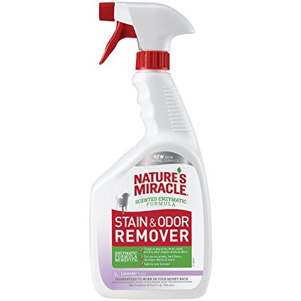 Nature's Miracle Lavender Stain and Odor Remover 32 oz