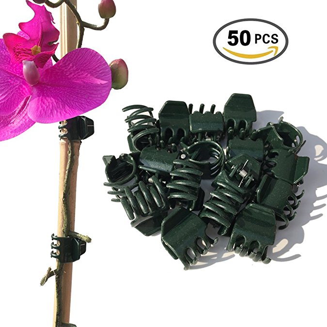 Vtete 50 PCS Large Size Orchid Clips and Garden Support Clips Green ( Not with Flower and Plant Spike)