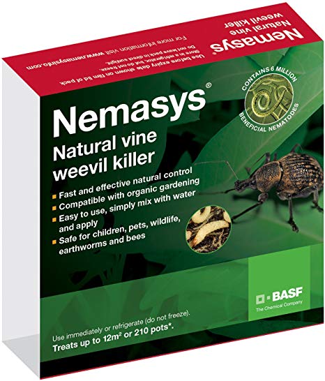 Nemasys vine weevil killer standard pack