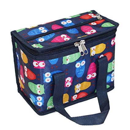 TEAMOOK Insulated Lunch Bag Lunch Tote Box 1Pcs 6 cans (Blue owl)