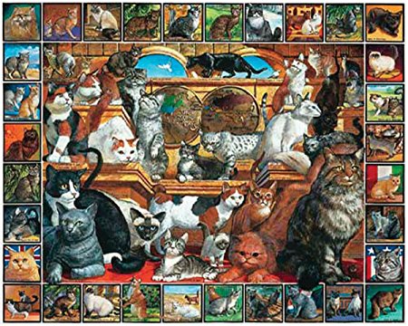 White Mountain Puzzles World of Cats - 1000 Piece Jigsaw Puzzle