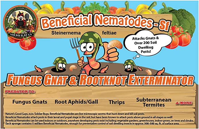 10 Million Live Beneficial Nematodes Sf - Fungus Gnat/Rootknot Gall Exterminator