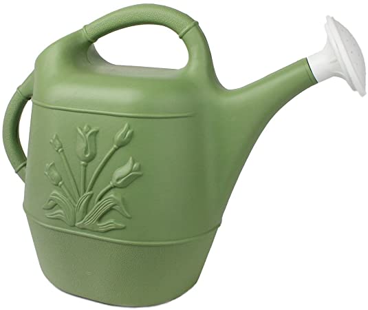 Union 63068 Watering Can with Tulip Design, 2 Gallon, Sage Green