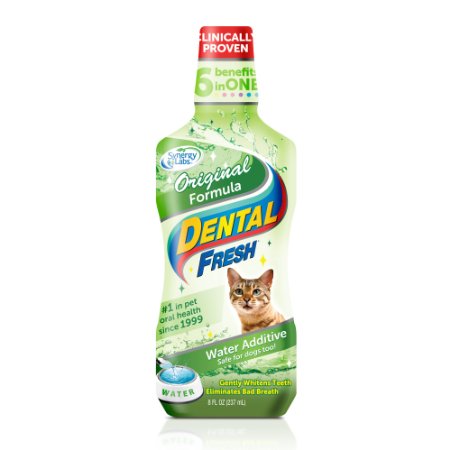 SynergyLabs Dental Fresh for Cats 8 fl oz