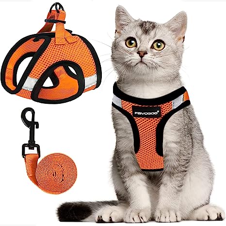 Cat Harness, Cat Leash and Harness Set for Walking Escape Proof, Harness for Small Cats/Small Dogs, Large Kitten/Puppy Harness and Leash, Harness for Cats S-XXL(Neon Orange, Large)