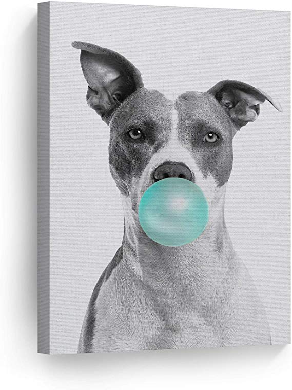 Smile Art Design Cute Pitbull Dog Animal Decor Bubble Gum Art Teal Blue Canvas Print Black and White Wall Art Kids Gift Nursery Room Decor Stretched Ready to Hang Made in The USA 22x15