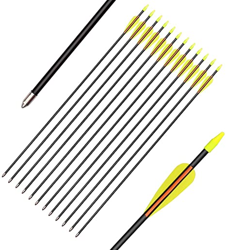 Archery Recurve Bow Arrows Fiberglass Arrow 24/26/28 Inch Hunting Shooting Practice Target for Beginners Kids Youth Sport Outdoor(Pack of 12)