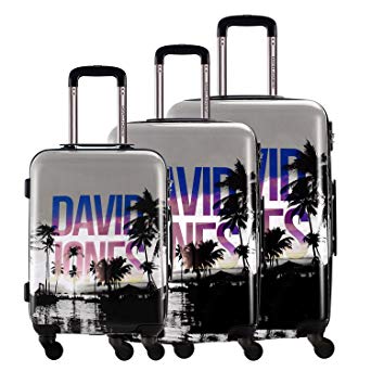 DAVIDJONES 3 Piece Luggage Set Hardside Spinner Suitcase Set for Travel Business