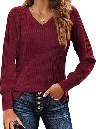 Zeagoo Long Sleeve Shirts for Women V Neck Casual Sweaters Basic Knit 2024 Fall Fashion Pullover Tops