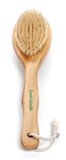 GranNaturals Dry Skin and Body Brush for Anti Cellulite Reducing Massager Treatment with Long Wooden Handle