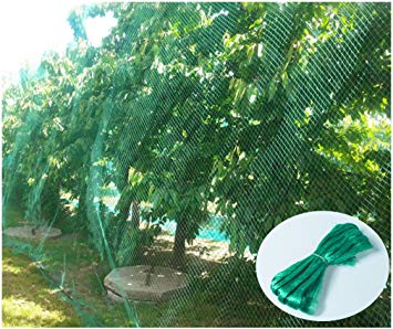 CandyHome Green Anti Bird Protection Net Mesh Garden Plant Netting Protect Seedlings Plants Flowers Fruit Trees Vegetables from Rodents Birds Deer Reusable Fencing (13Ft x 33Ft)