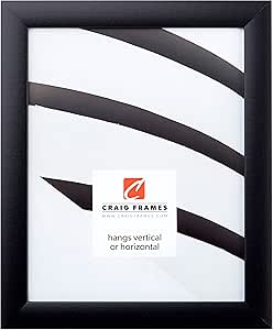 Craig Frames 1WB3BK 19 by 27-Inch Picture Frame, Smooth Finish, 1-Inch Wide, Black