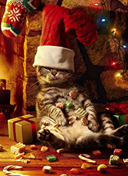 Avanti Christmas Cards, Too Many Treats, 10-Count