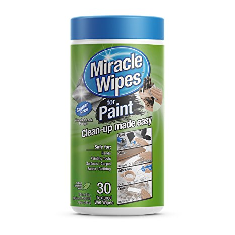 Premium Cleaning Wipes for Painters, DIY, & Artists. Safely Removes All Types of Paints, Caulking, Epoxy, Colorant & More. (30 Count)