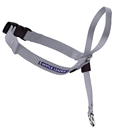 PetSafe Gentle Leader Head Collar with Training DVD