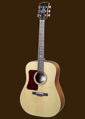 Sierra Sequoia SD33L Acoustic Guitar, Left Handed
