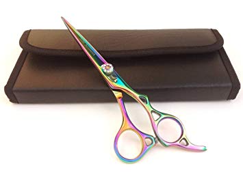 Professional Hairdressing Scissors Hair Cutting Shears Barber Scissors 6.0" Japanese Steel with Case
